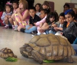 Shedskin Reptiles